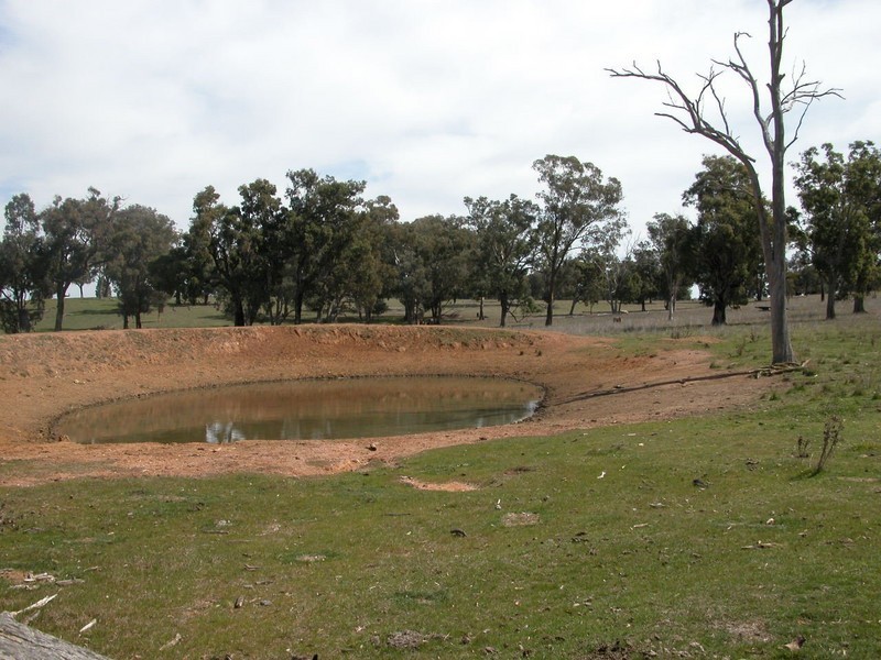 Botobolar NSW 2850