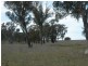 Botobolar NSW 2850