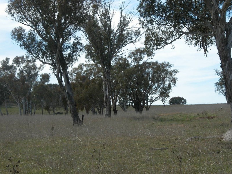 Botobolar NSW 2850