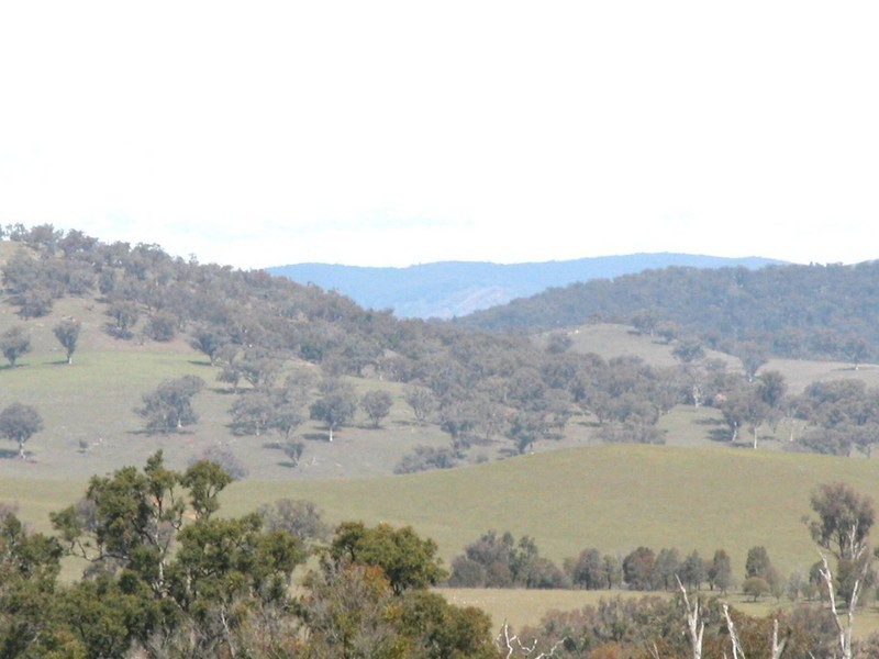 Botobolar NSW 2850