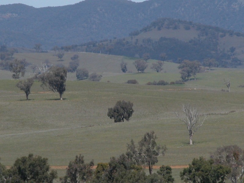 Botobolar NSW 2850