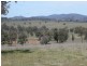 Botobolar NSW 2850