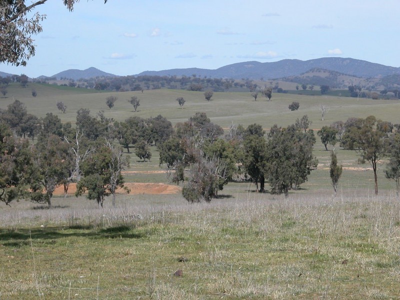 Botobolar NSW 2850