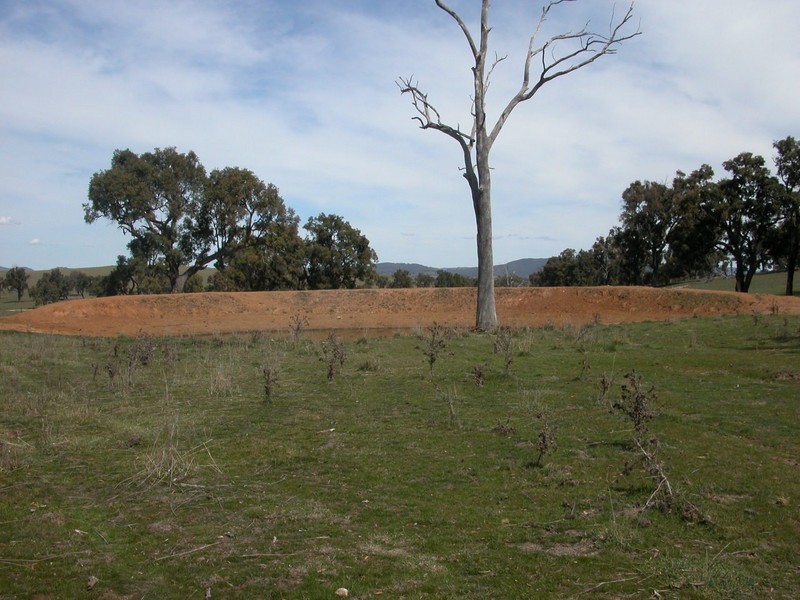 Botobolar NSW 2850