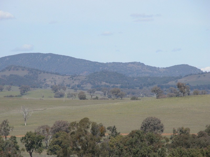 Botobolar NSW 2850