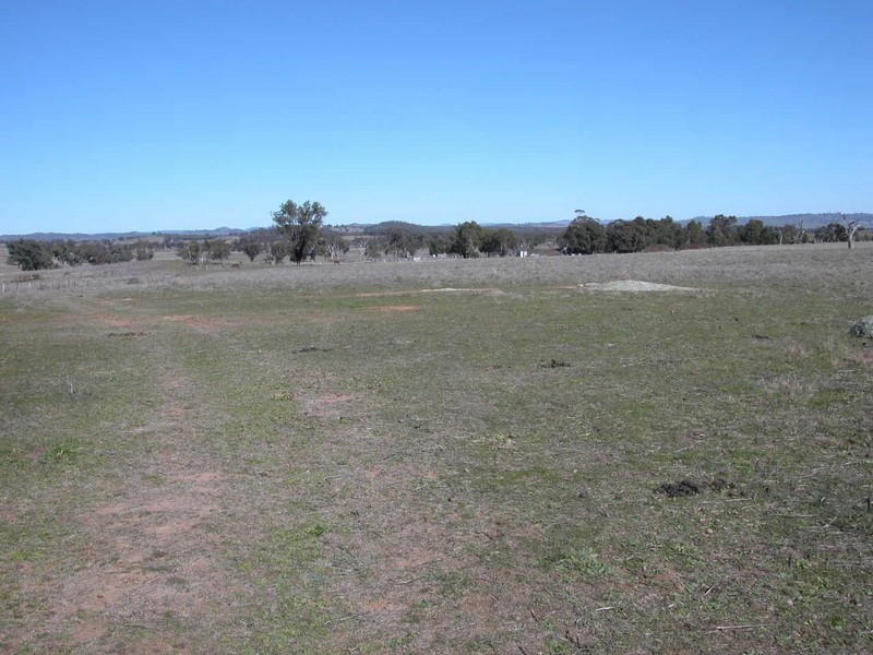 Cooks Gap NSW 2850