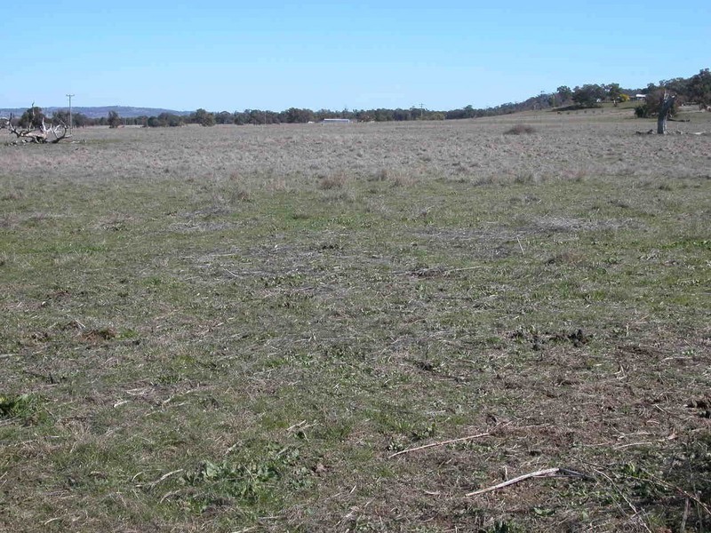 Cooks Gap NSW 2850