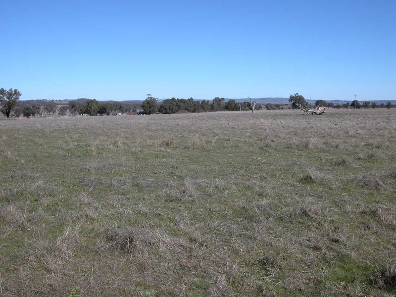 Cooks Gap NSW 2850