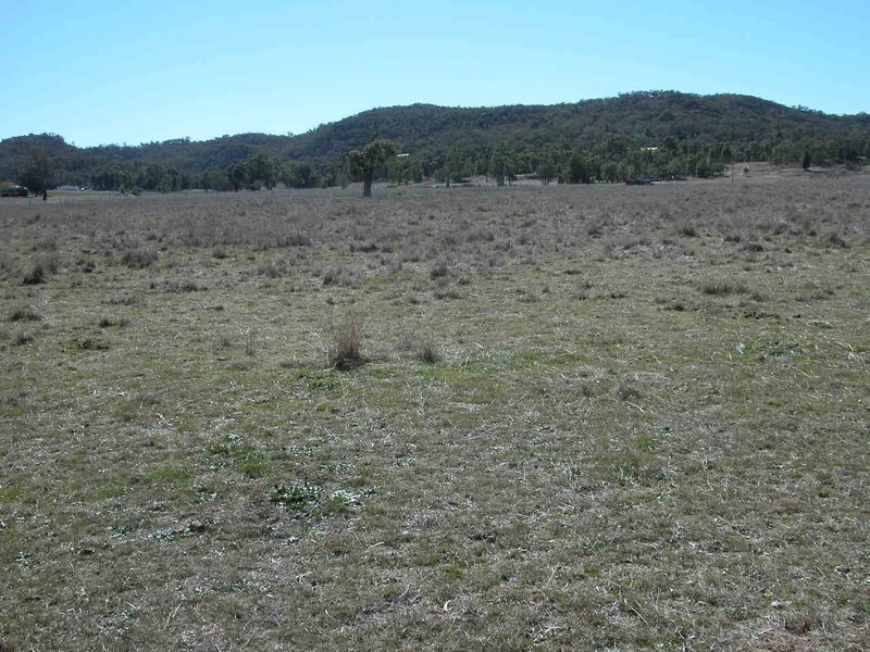 Cooks Gap NSW 2850