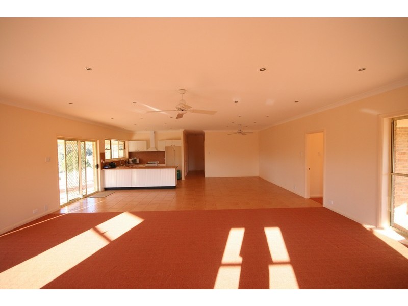 Queens Pinch NSW 2850