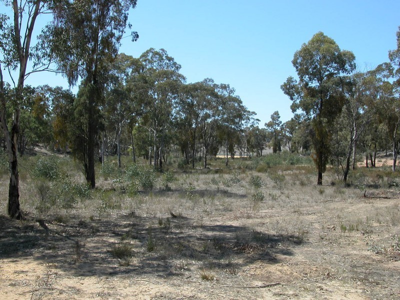 Ulan NSW 2850
