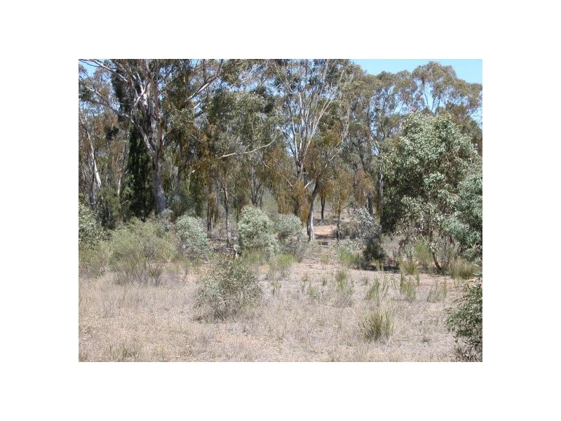 Ulan NSW 2850