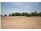 Gulgong NSW 2852