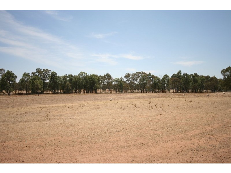 Gulgong NSW 2852