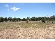 Gulgong NSW 2852