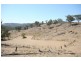 Mudgee NSW 2850