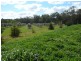 Botobolar NSW 2850