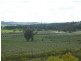 Botobolar NSW 2850