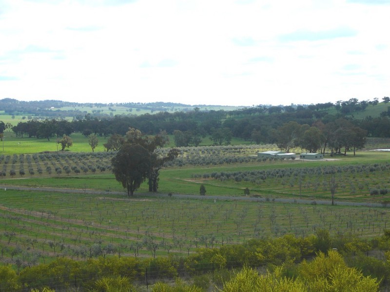 Botobolar NSW 2850