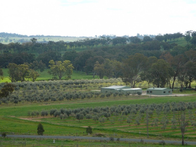 Botobolar NSW 2850