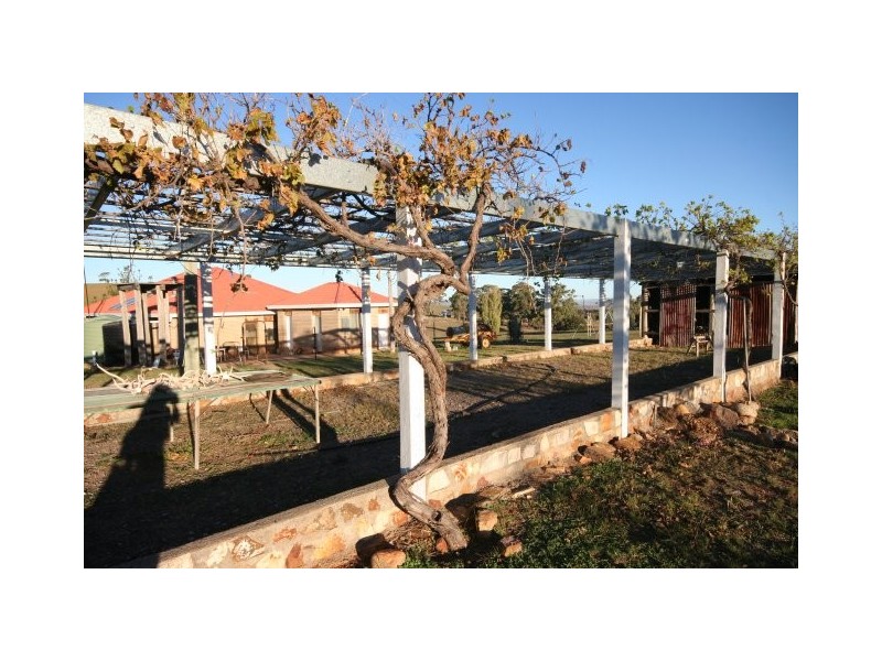 Gaucho Ranch, Tallawang Road, Gulgong NSW 2852