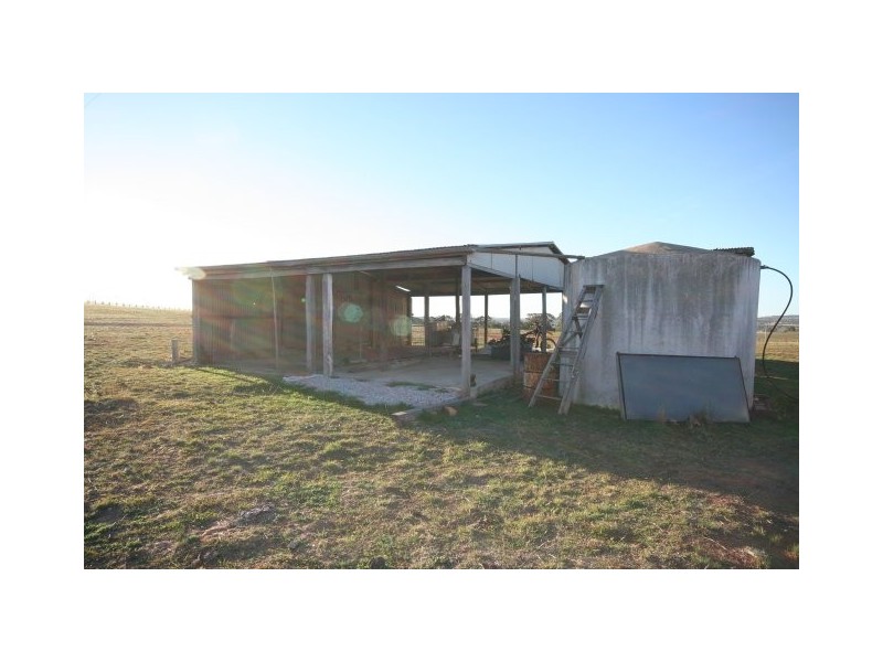 Gaucho Ranch, Tallawang Road, Gulgong NSW 2852