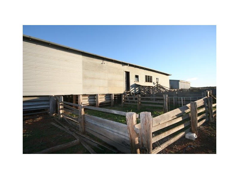 Gaucho Ranch, Tallawang Road, Gulgong NSW 2852