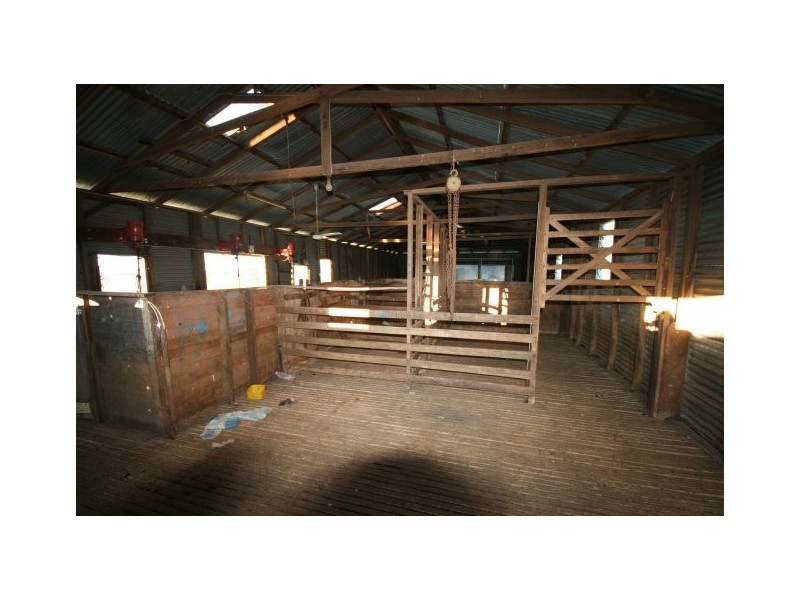 Gaucho Ranch, Tallawang Road, Gulgong NSW 2852