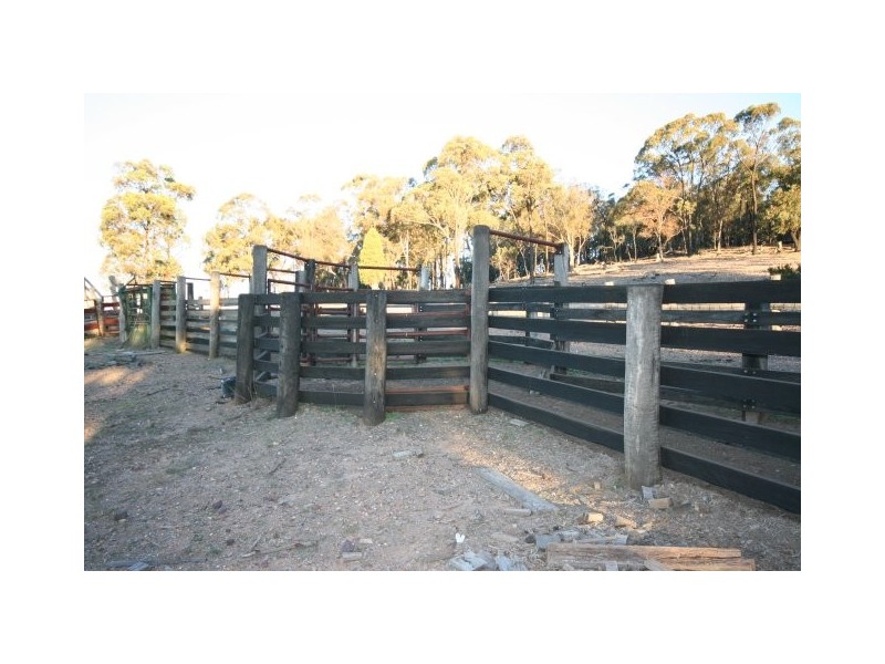 Gaucho Ranch, Tallawang Road, Gulgong NSW 2852