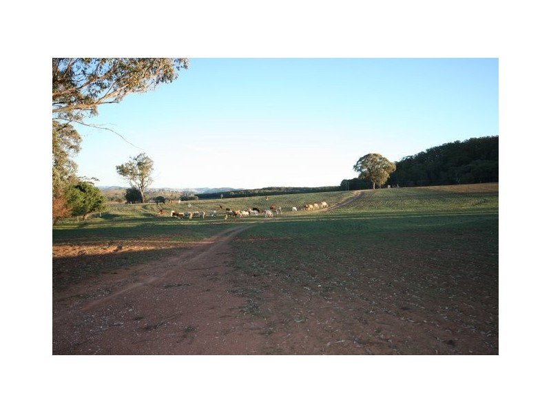 Gaucho Ranch, Tallawang Road, Gulgong NSW 2852