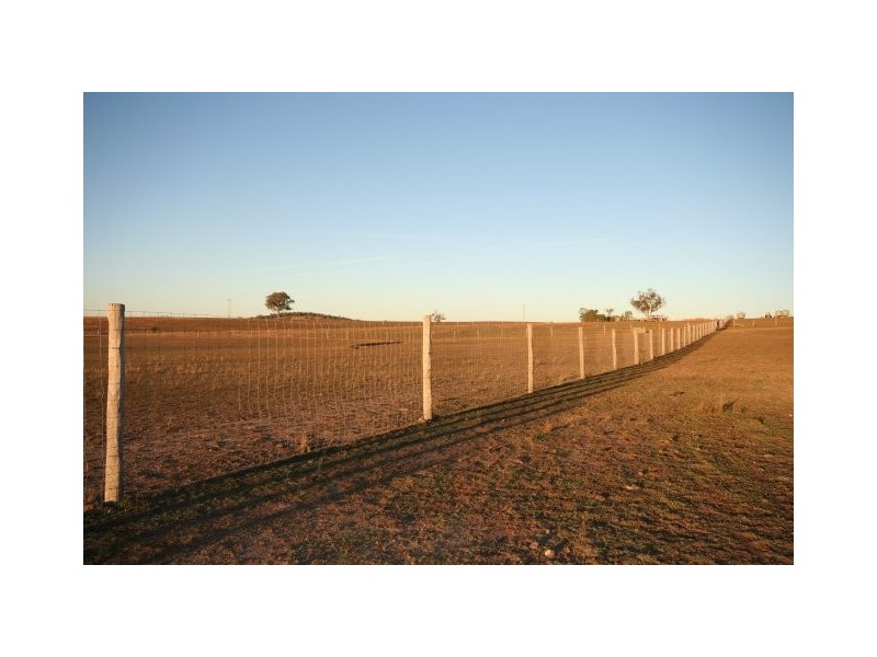 Gaucho Ranch, Tallawang Road, Gulgong NSW 2852