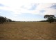 Gulgong NSW 2852