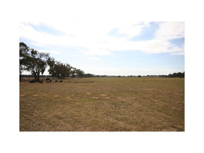Gulgong NSW 2852