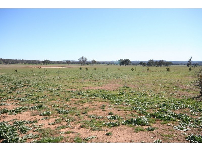 Cooyal NSW 2850