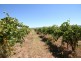Mudgee NSW 2850