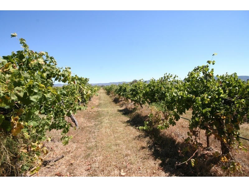 Mudgee NSW 2850