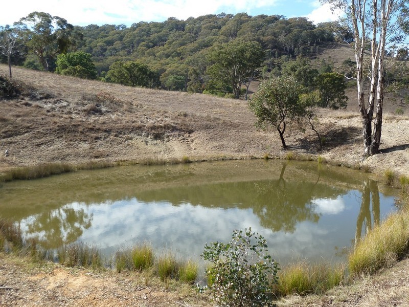 Mudgee NSW 2850