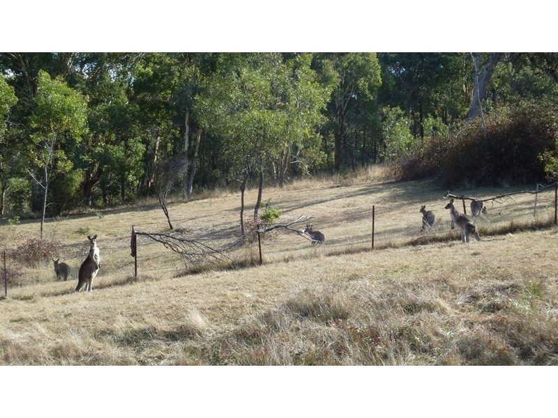 Mudgee NSW 2850