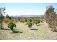 Cooks Gap NSW 2850