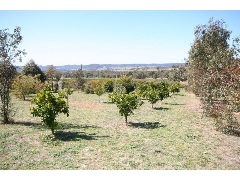Cooks Gap NSW 2850
