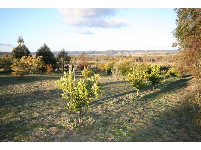 Cooks Gap NSW 2850