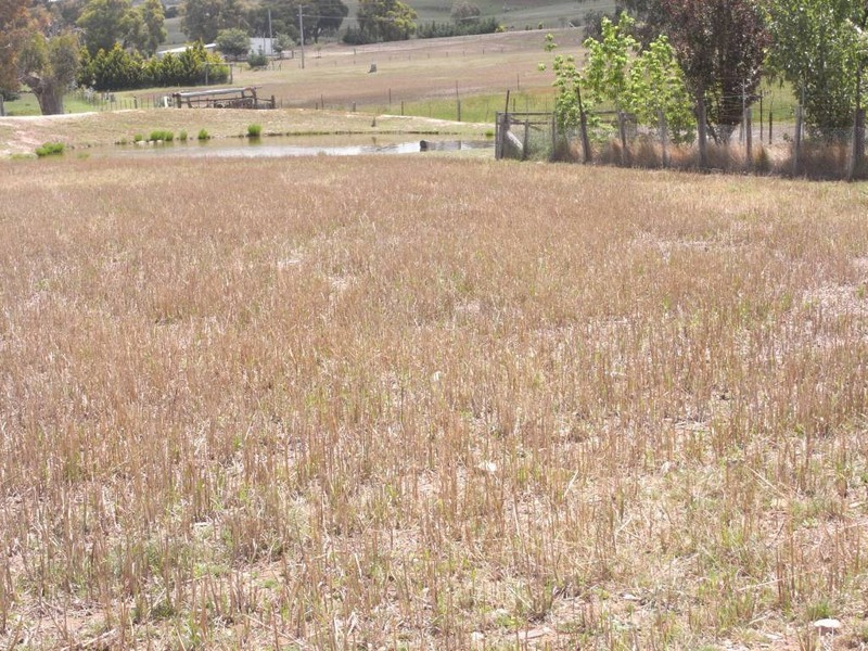 Pyramul NSW 2850