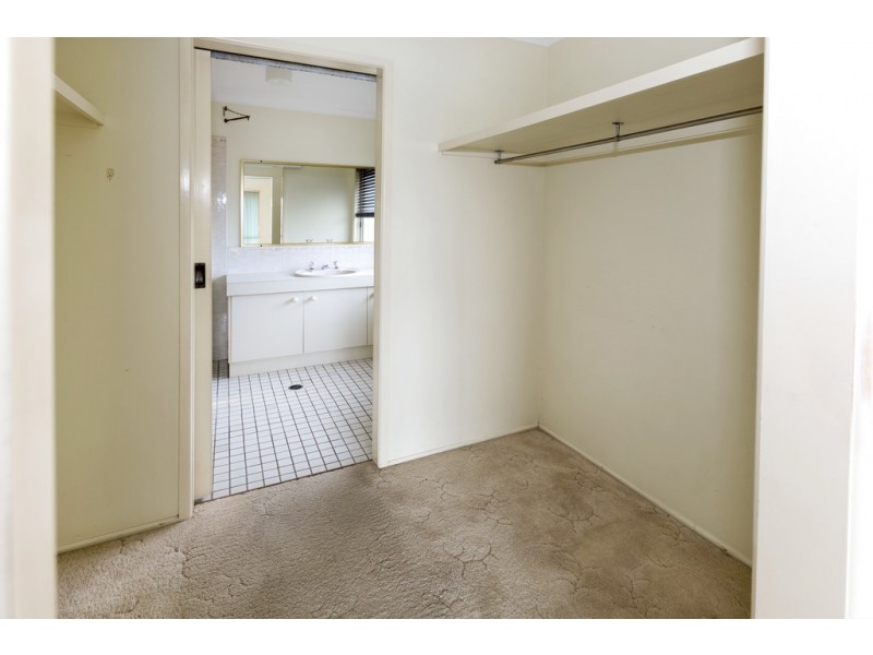 93 Baanya St, Wurtulla QLD 4575