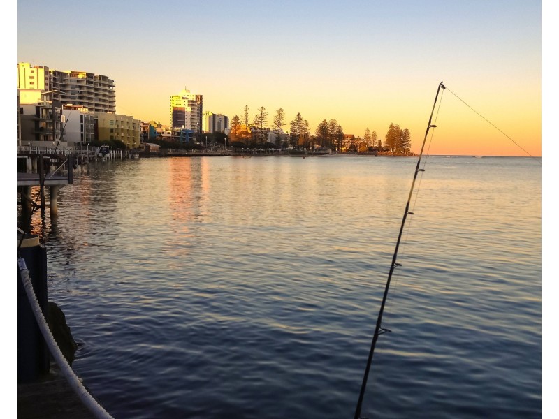 39/38 Maloja Ave- Watermark, Caloundra QLD 4551