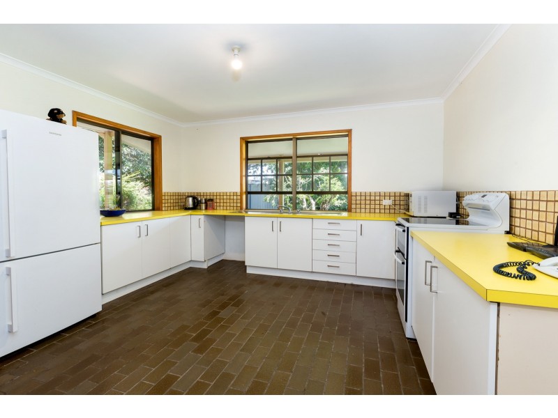 16 Pretella St, Wurtulla QLD 4575