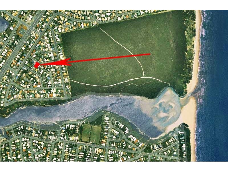 16 Tareel St, Wurtulla QLD 4575