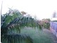 19 Acacia Ave – Shelly Beach, Caloundra QLD 4551