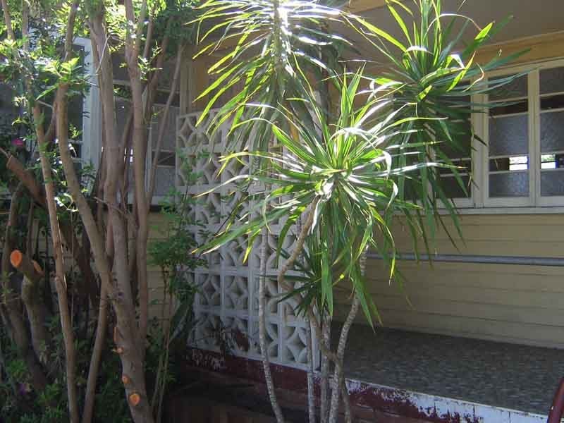 9  West Terrace, Caloundra QLD 4551
