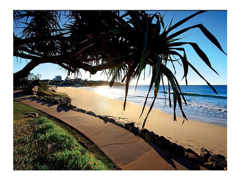 11/26 Saltair St – Kensington, Kings Beach QLD 4551