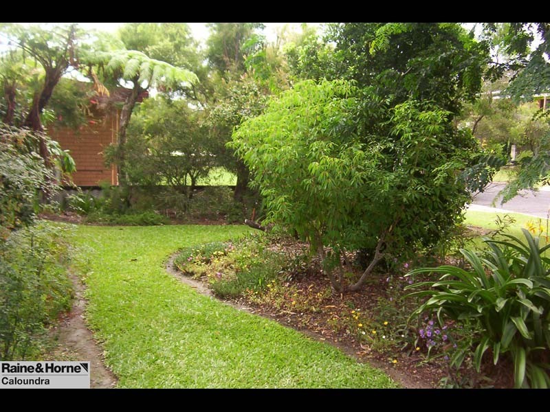 17 Sutherland St, Dicky Beach QLD 4551